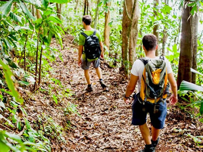 Jungle Trekking